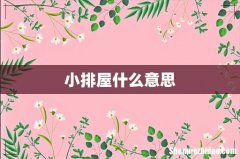 小排屋什么意思