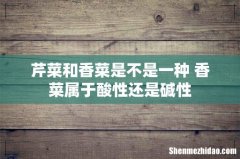 芹菜和香菜是不是一种 香菜属于酸性还是碱性