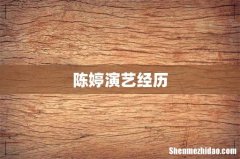 陈婷演艺经历