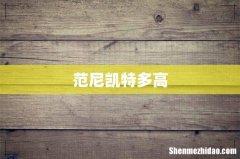 范尼凯特多高