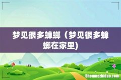 梦见很多蟑螂（梦见很多蟑螂在家里)