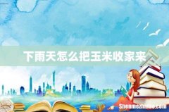 下雨天怎么把玉米收家来