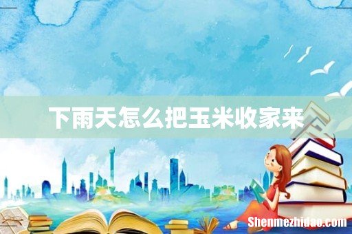 下雨天怎么把玉米收家来