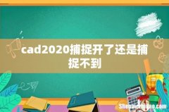 cad2020捕捉开了还是捕捉不到