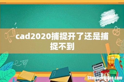 cad2020捕捉开了还是捕捉不到