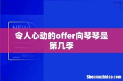 令人心动的offer向琴琴是第几季
