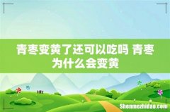 青枣变黄了还可以吃吗 青枣为什么会变黄