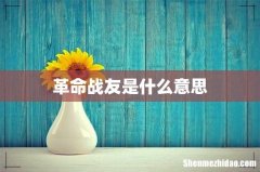 革命战友是什么意思