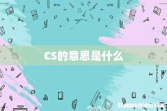 CS的意思是什么