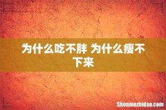 为什么吃不胖 为什么瘦不下来