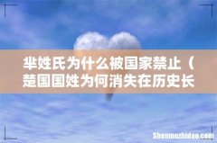 楚国国姓为何消失在历史长河里 芈姓氏为什么被国家禁止