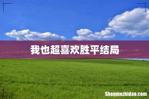 我也超喜欢胜平结局