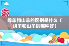 绵羊和山羊挑哪种好 绵羊和山羊的区别是什么