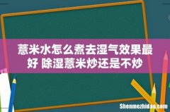 薏米水怎么煮去湿气效果最好 除湿薏米炒还是不炒