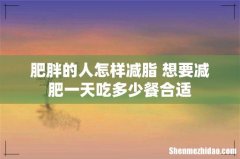 肥胖的人怎样减脂 想要减肥一天吃多少餐合适