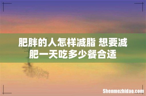 肥胖的人怎样减脂 想要减肥一天吃多少餐合适