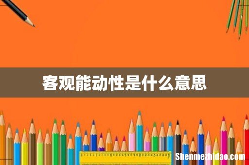 客观能动性是什么意思