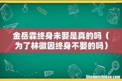 为了林徽因终身不娶的吗 金岳霖终身未娶是真的吗