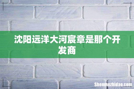 沈阳远洋大河宸章是那个开发商