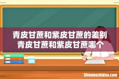 青皮甘蔗和紫皮甘蔗的差别 青皮甘蔗和紫皮甘蔗哪个好吃