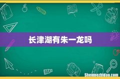 长津湖有朱一龙吗