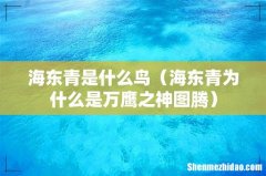 海东青为什么是万鹰之神图腾 海东青是什么鸟
