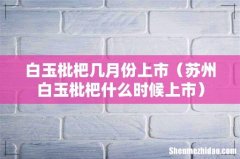 苏州白玉枇杷什么时候上市 白玉枇杷几月份上市