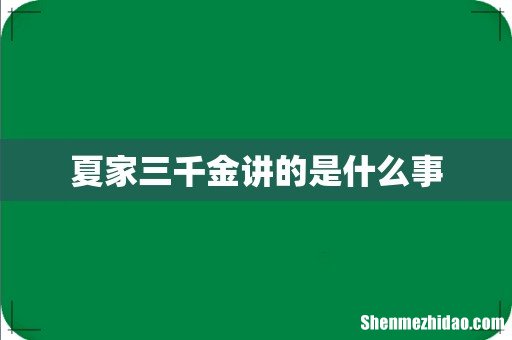 夏家三千金讲的是什么事