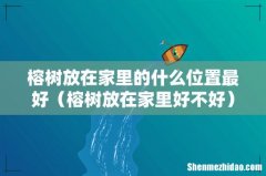 榕树放在家里好不好 榕树放在家里的什么位置最好