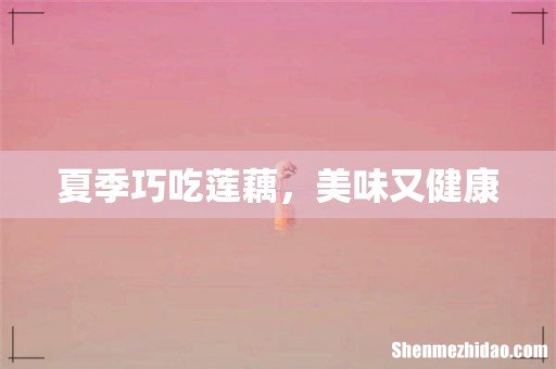 夏季巧吃莲藕,美味又健康