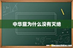 中华鲎为什么没有灭绝