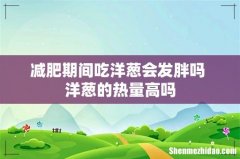 减肥期间吃洋葱会发胖吗 洋葱的热量高吗