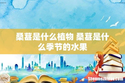 桑葚是什么植物 桑葚是什么季节的水果