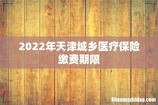 2022年天津城乡医疗保险缴费期限