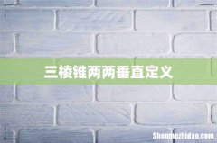 三棱锥两两垂直定义