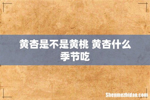 黄杏是不是黄桃 黄杏什么季节吃