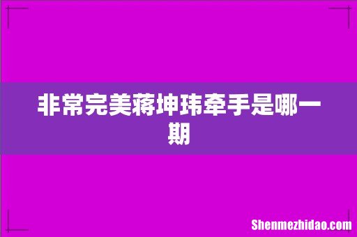 非常完美蒋坤玮牵手是哪一期