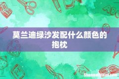 莫兰迪绿沙发配什么颜色的抱枕
