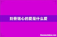 刻骨铭心的爱是什么爱