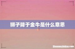 狮子降于金牛是什么意思