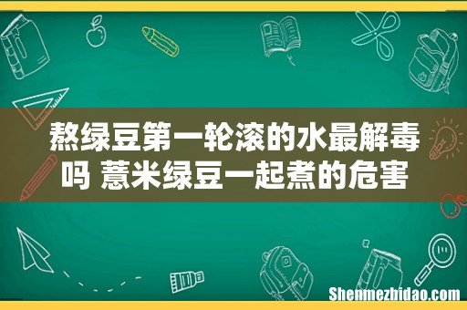 熬绿豆第一轮滚的水最解毒吗 薏米绿豆一起煮的危害