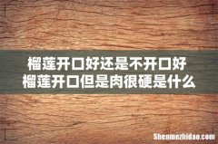 榴莲开口好还是不开口好 榴莲开口但是肉很硬是什么原因