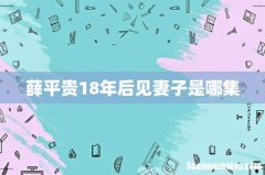 薛平贵18年后见妻子是哪集