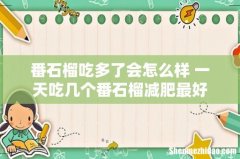 番石榴吃多了会怎么样 一天吃几个番石榴减肥最好