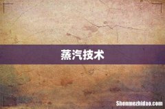 蒸汽技术