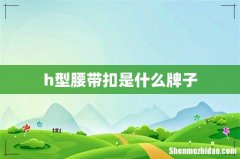 h型腰带扣是什么牌子