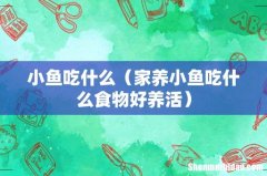 家养小鱼吃什么食物好养活 小鱼吃什么