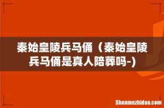 秦始皇陵兵马俑（秦始皇陵兵马俑是真人陪葬吗-)