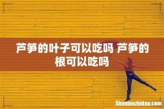 芦笋的叶子可以吃吗 芦笋的根可以吃吗