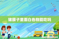 猪腰子里面白色物能吃吗
